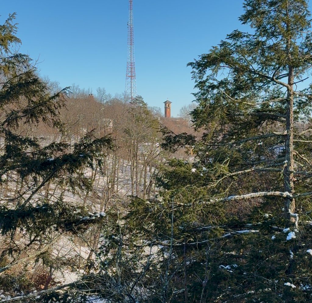 A Hemlock Oasis in the Boston Metro